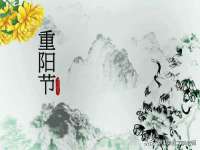 海口市喜环实业有限公司