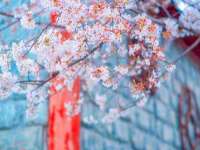 海口市喜环实业有限公司