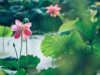 海口市喜环实业有限公司