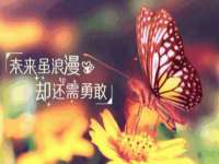海口市喜环实业有限公司