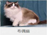 海口市喜环实业有限公司