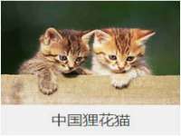 海口市喜环实业有限公司