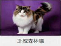 海口市喜环实业有限公司