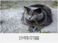 海口市喜环实业有限公司