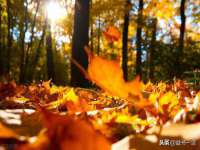 海口市喜环实业有限公司