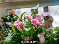 海口市喜环实业有限公司