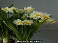 海口市喜环实业有限公司