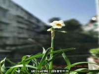 海口市喜环实业有限公司