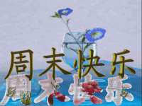 海口市喜环实业有限公司