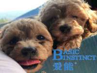 海口市喜环实业有限公司