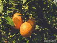 海口市喜环实业有限公司