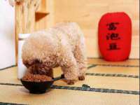 海口市喜环实业有限公司