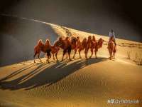 海口市喜环实业有限公司