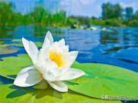 海口市喜环实业有限公司
