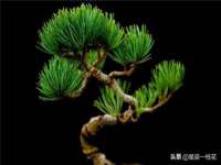 海口市喜环实业有限公司