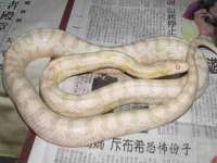 海口市喜环实业有限公司