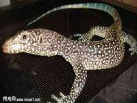 海口市喜环实业有限公司