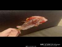 海口市喜环实业有限公司